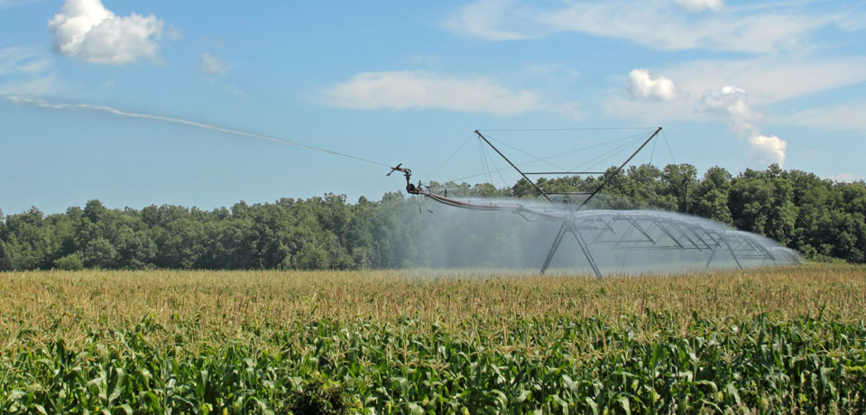 Euroeste - Leaders in Agrobusiness