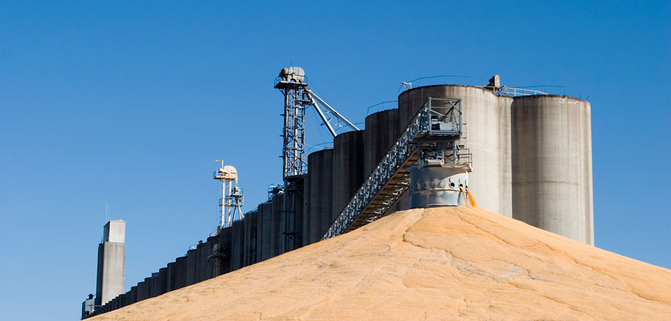 Euroeste - Leaders in Agrobusiness