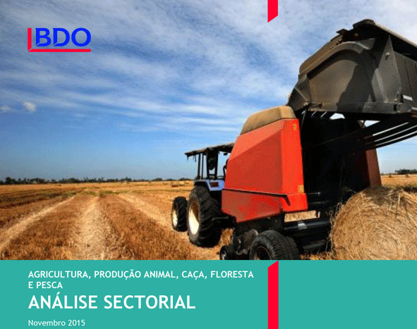 Euroeste lidera subsetor de Produção Animal em documento de análise elaborado pela BDO