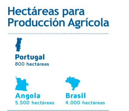 Hectáreas para Producción Agrícola