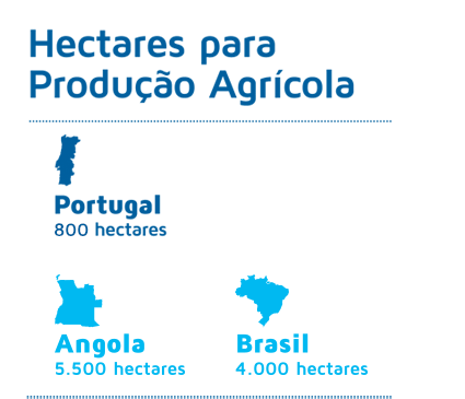 Hectares para Produção Agrícola