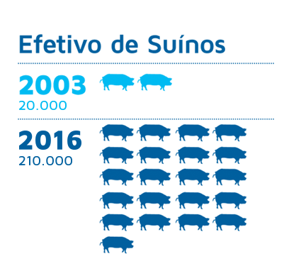 Efectivo de Suínos