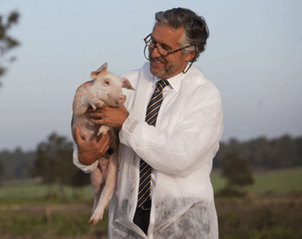 Entrevista de Pedro Garcia de Matos ao semanário Expresso