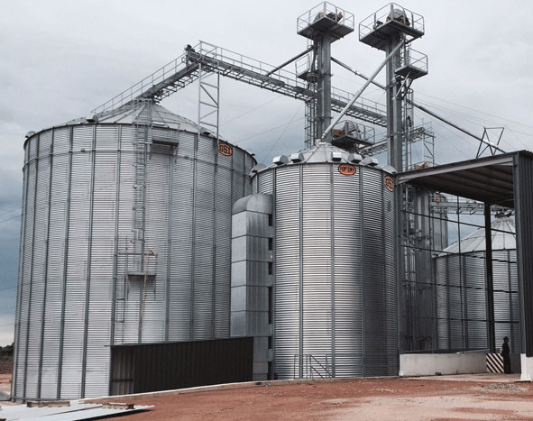 Construção da fábrica de ração da Fazenda de Santo António no jornal Expansão