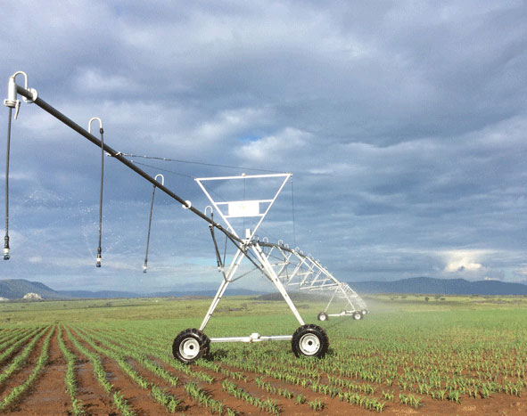 Euroeste no semanário Expresso