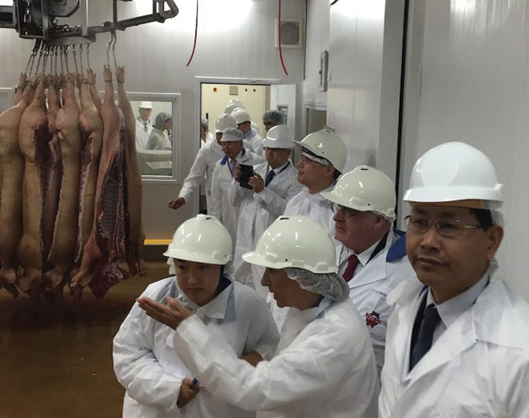 Fronteiras abertas e novas oportunidades para a suinicultura portuguesa